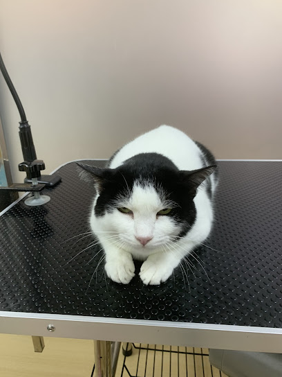 Clumsy Paw Puchong • Pet Grooming & Boarding