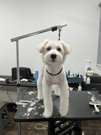 Jo Groomer – Ara Damansara