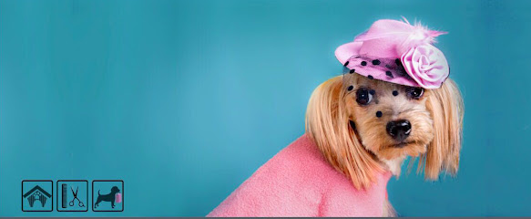 Oh My Dog Pets Salon