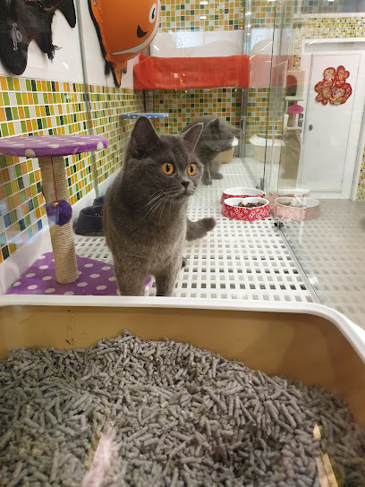 Pets for You Sdn Bhd