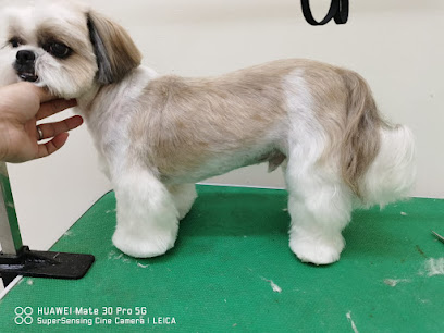 MooFu Pet Spa & Grooming (Puchong)