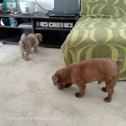 Home Stay犬宿