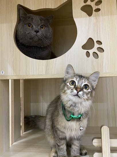 Nawz Kucen Lacottage (Cat Hotel ,Spa &Grooming)